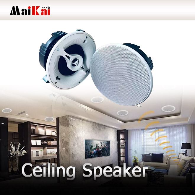 Ceiling Speaker