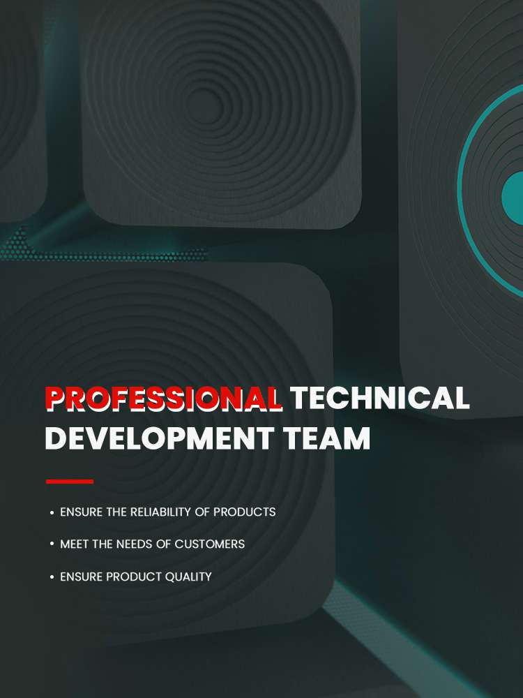 Professional technical development team